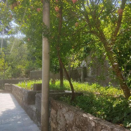 Apartman Arbanas Dubrovnik Extérieur photo