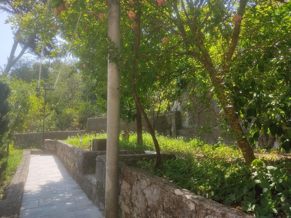 Apartman Arbanas Dubrovnik Extérieur photo